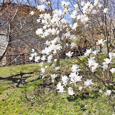 Вілла Casa Dei Tigli Ormea Екстер'єр фото